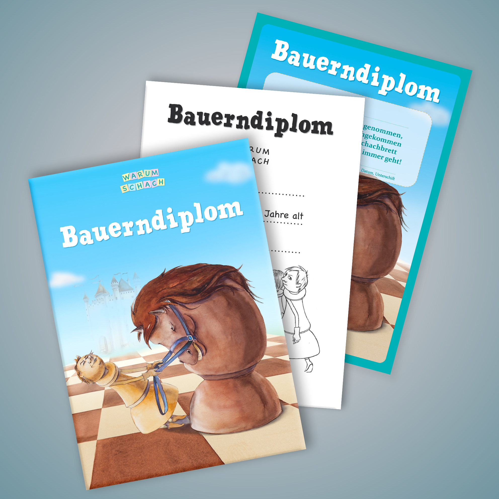 heft_diplom_test-bauerdiplom.jpg