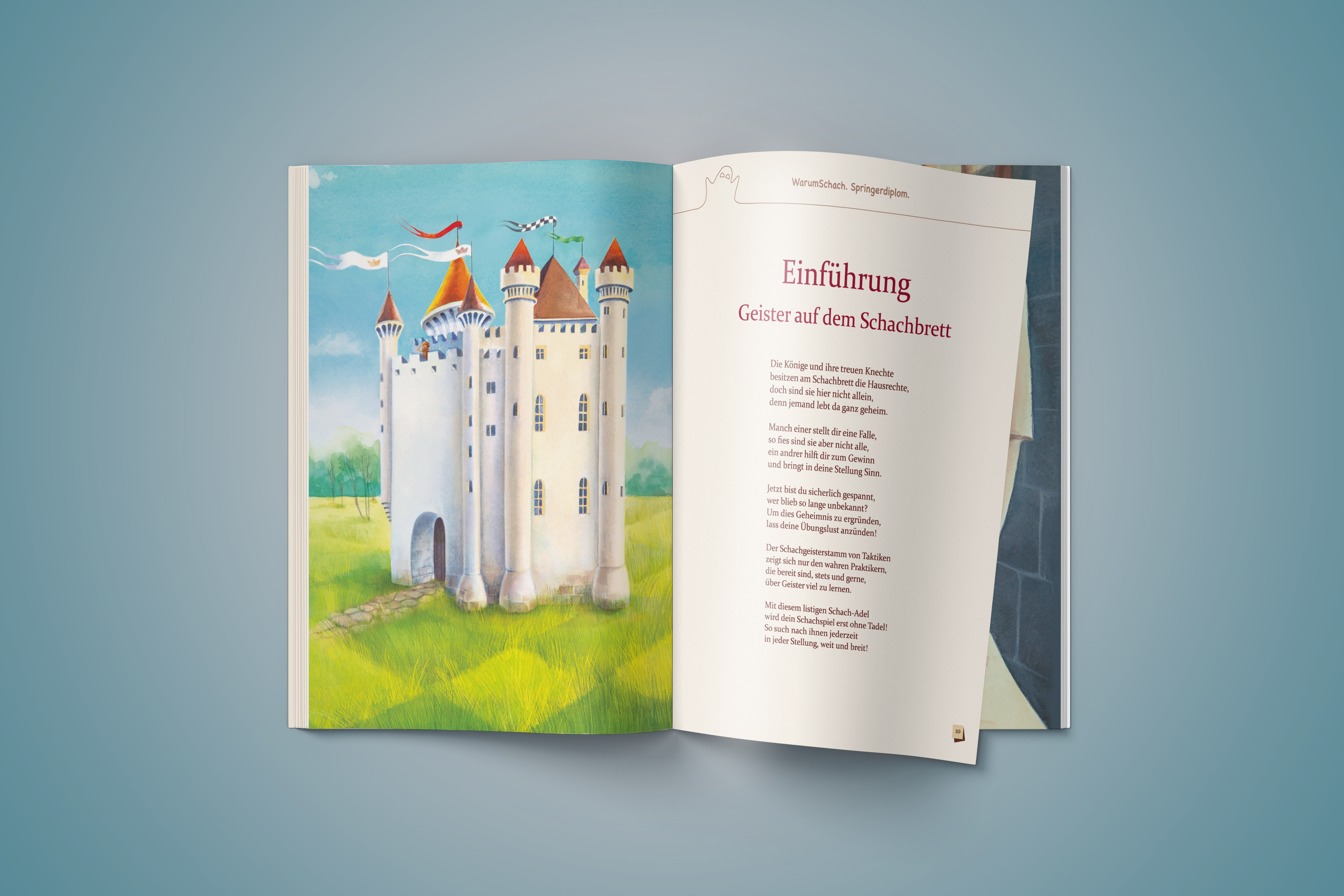 einfhrung_springerdiplom.jpg
