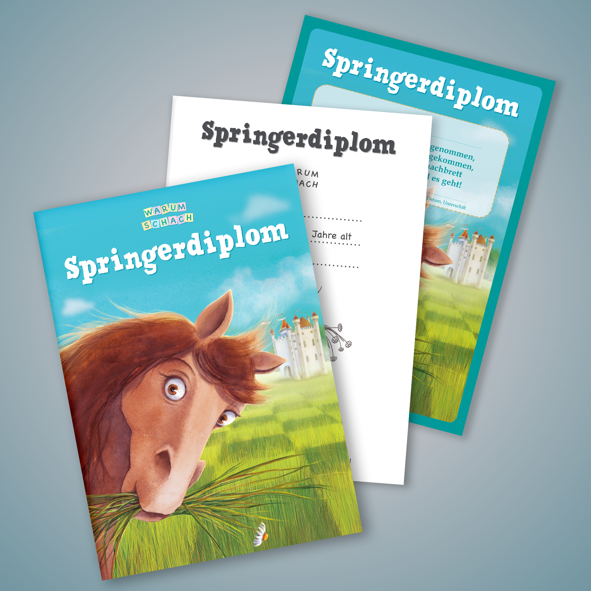 heft_springerdiplom3.jpg