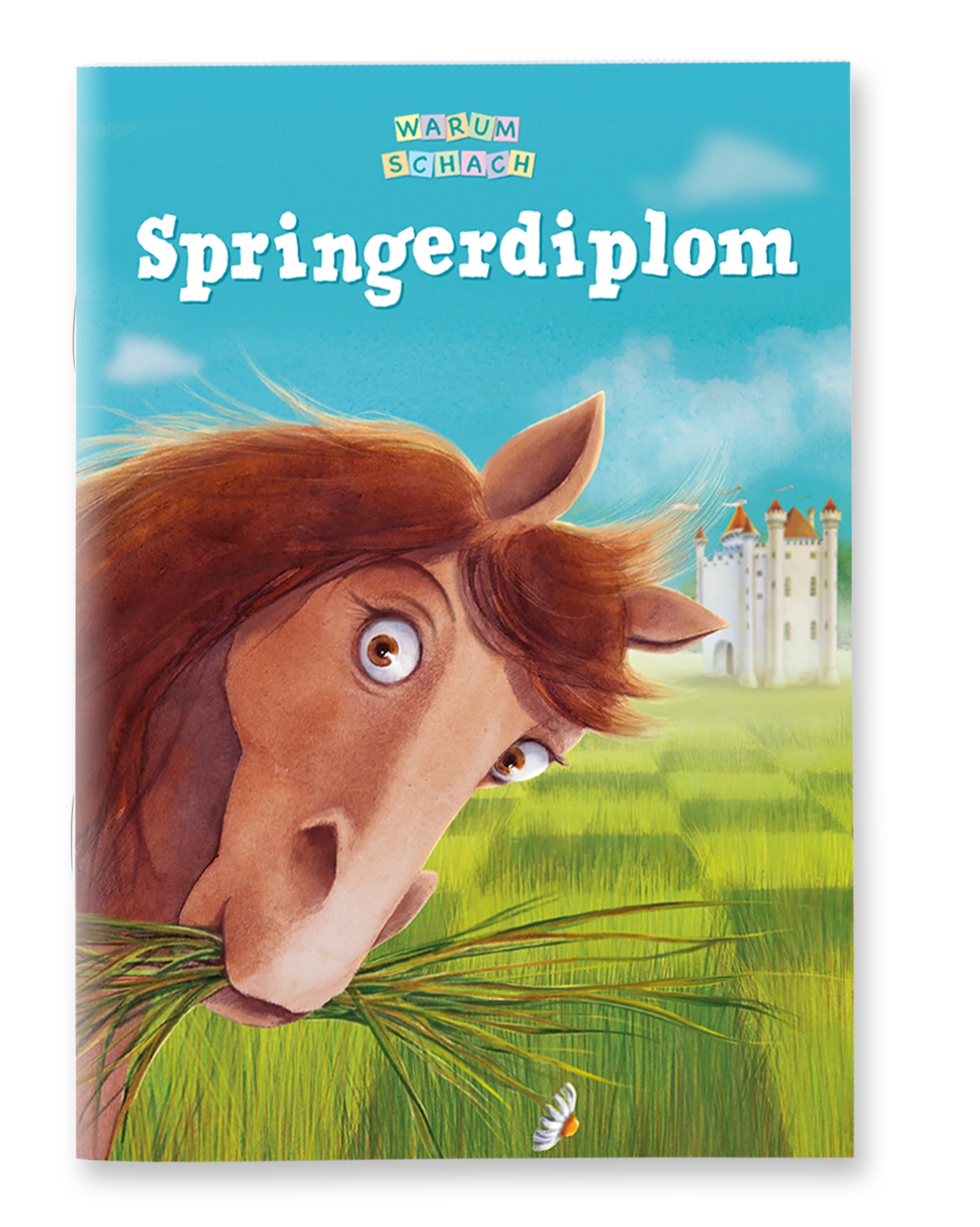 Trainer-Set: Übungsheft "Springerdiplom". 10 Stück